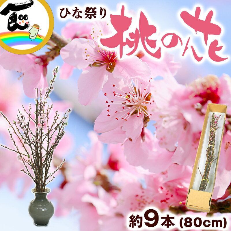 ひな祭り用 花桃 (桃の花) 約80cm (8～10本）