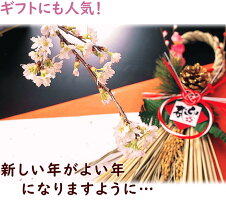 さくら【送料無料】お正月に咲く桜・山形【啓翁桜(けいおうさくら)】約9本80cm/本