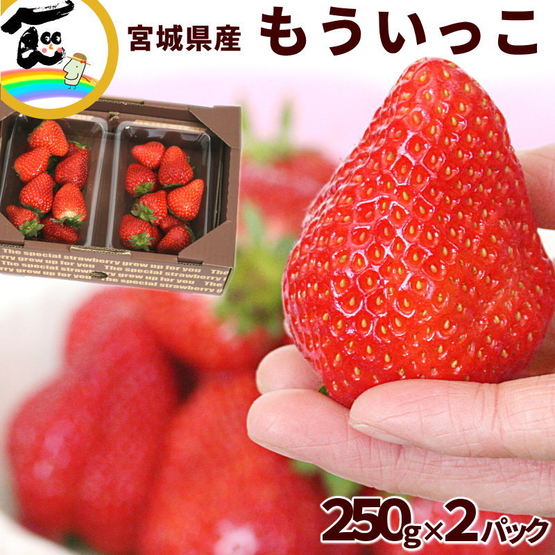 いちご 甘い 宮城県 一苺一笑 もういっこ 250g×2パック (ご自宅用パック詰)のサムネイル