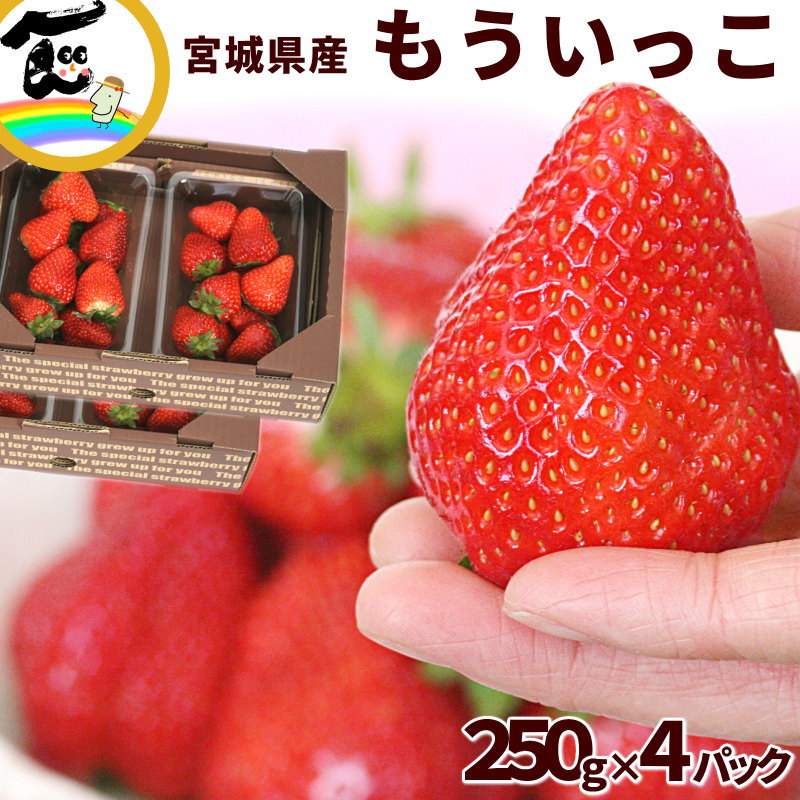 いちご 甘い 宮城県 一苺一笑 もういっこ 250g×4パック (ご自宅用パック詰)のサムネイル