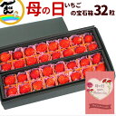 【ふるさと納税】群馬県やよいひめ（いちご）約900g【3年連続金賞受賞！】※2023年12月～2024年5月にて順次発送予定