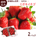 いちご 送料無料 【 宮城県産 いちご GRA ミガキイチゴ 275g×2パック 】