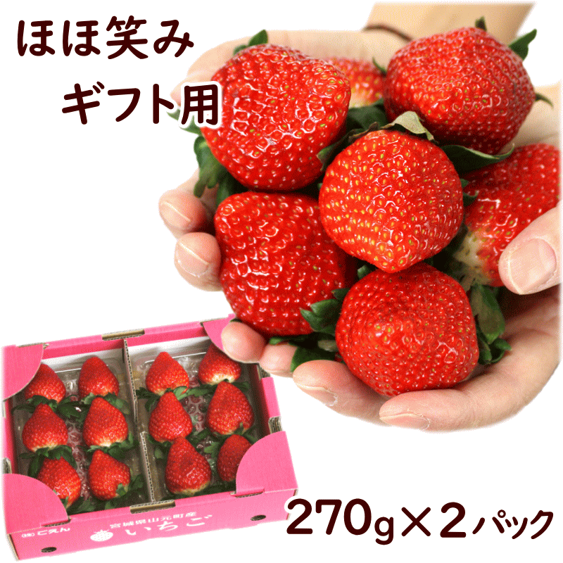 完熟 とちおとめ いちご 送料無料 ギフト 贈答 宮城県 ごえん ほほ笑み 270g×2P 高級 甘い 新鮮 お取り寄せ 糖度 品種 イチゴ 苺 大粒