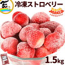 いちご 冷凍ストロベリー トロピカルマリア ストロベリー 1.5kg(500g×3袋) 冷凍いちご 子ども おやつ フルーツ 旬の果物 保存 朝食 フルーツ 手軽 旬の果物 安心素材 フルーツ