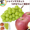 フルーツギフト 山形県産 シャインマスカット&りんご セット (シャイン:600g・つがるりんご:2個) 詰合せ 旬の果物 お取り寄せ 果物ギフト 贈答用 秋の...