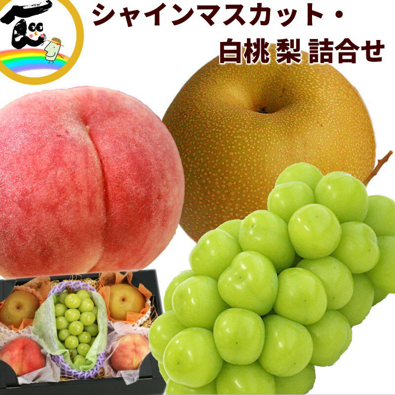 フルーツ 詰合せ ギフト 山形県産 シャインマスカット&白桃&梨詰合せ (シャインマスカット :秀品、1房、500g、白桃:秀品、4個、1個あたり300g、梨 (幸水または豊水):秀品、2個、1個あたり300g)