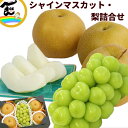 フルーツ 詰合せ ギフト福島県産 シャインマスカット&梨(幸水)詰合せ (シャインマスカット :秀品、1房、500g、幸水梨:秀品、4個、1個あたり300g) ...