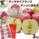 フルーツ クリスマス 詰合せ りんご 洋梨 山形県産 サンタラフランス サンフジ詰合せ (サンふじ:秀品、8個、ラ・フランス:秀品、3個 計3kg)|詳細画像
