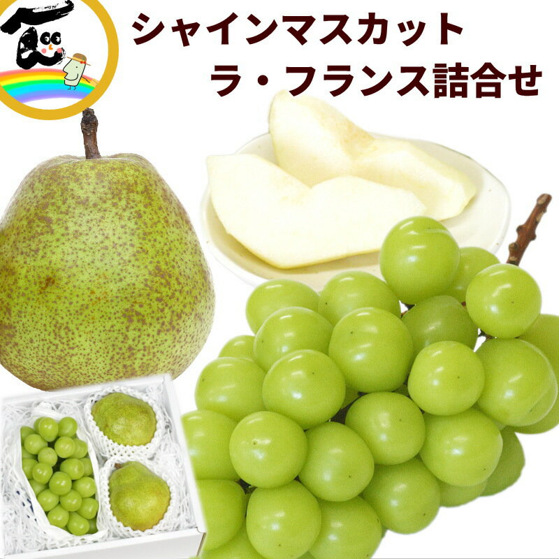 フルーツ 詰合せ 山形県産シャインマスカットと洋梨 詰合せ（シャインマスカット：500g、ラ・フランス..
