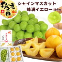 【敬老】 敬老の日 プレゼント フルーツ詰合せ シャインマスカットと峰満イエロー詰合せ 山形県産 秀品 シャインマスカット 約550g 峰満イエロー 6~7個