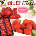 母の日 2024 プレゼント ギフト さくらんぼ いちご 山形県産佐藤錦＆宮城県産とちおとめ 計32 ...