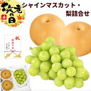【敬老】敬老の日 プレゼント フルーツ詰合せ シャインマスカットと梨詰合せ 山形県産 秀品 シャインマスカット 約400g 梨 3〜4個
