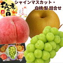 【敬老】敬老の日 プレゼント 山形県産 和梨と白桃ギフトボックス(白桃(川中島白桃、他):秀品、4個、1個あたり300g、梨(豊水):秀品、5個、1個あたり30...