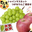 【敬老】 敬老ギフト 山形県産 シャインマスカット&りんご セット (シャイン:550g・つがるりんご:4個) 詰合せ 旬の果物 お取り寄せ 果物ギフト 贈答用...