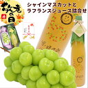 【敬老】敬老の日 プレゼントフルーツ 詰合せ ギフト 山形県産シャインマスカットとラフランスジュース詰合せ(シャインマスカット:秀品、500g、1房、ラフランス...