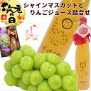 【敬老】敬老の日 プレゼントフルーツ 詰合せ ギフト 山形県または福島県産シャインマスカットとりんごジュース詰合せ(シャインマスカット:秀品、500g、1房、り...