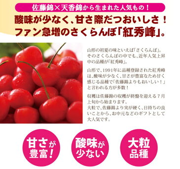 さくらんぼ 紅秀峰 送料無料 山形 さくらんぼ 訳あり 紅秀峰 1kg 無選別品 バラ詰