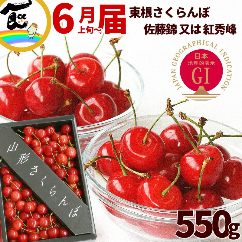 GI東根さくらんぼ 山形県 東根市 さくらんぼ 550g 秀品 Lサイズ バラ詰 品種：佐藤錦又は紅秀峰 佐藤錦 紅秀峰 山形 さくらんぼ