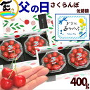 さくらんぼ 父の日 プレゼント 食べ物 さくらんぼ 佐藤錦 400g 山形県産 ギフト 早割 さくらんぼ 大粒 父の日 ギフト フルーツ 送料無料