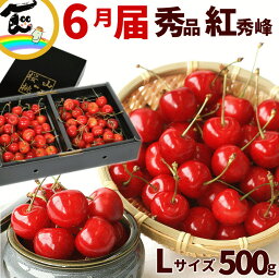 さくらんぼ 送料無料 山形県 紅秀峰 500g (250g×2パック) バラ詰 秀品 Lサイズ べにしゅうほう