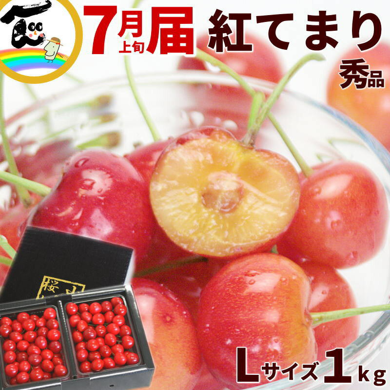 さくらんぼ さくらんぼ 山形産さくらんぼ 紅てまり(べにてまり) 1kg (500g×2P) Lサイズ 秀品 バラ詰