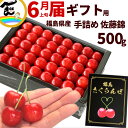 さくらんぼ 福島県産 木村さん 手詰め 佐藤錦 500g 秀品 Lまたは2Lサイズ