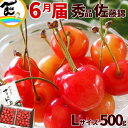 さくらんぼ 山形県 東根市産 佐藤錦 さくらんぼ 500g(250g×2パック)秀品 L〜2Lサイズ以上 バラ詰