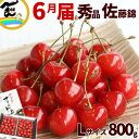 さくらんぼ 山形産さくらんぼ 佐藤錦 800g (400g×2P) L〜2Lサイズ 秀品 バラ詰
