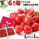 さくらんぼ 山形県産 さくらんぼ 1kg (500g×2P) 秀品 Lサイズ バラ詰 品種:佐藤錦又は紅秀峰 佐藤錦 紅秀峰 山形 さくらんぼ