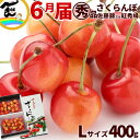 さくらんぼ 佐藤錦 紅秀峰 山形県産 ご家庭用さくらんぼ 400g (200g×2P) 丸秀品・秀品混合 Lサイズ以上 品種おまかせ バラ詰