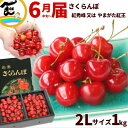 山形県産 さくらんぼ 1kg 秀品 2Lサイズ 大粒 バラ詰 品種:紅秀峰又はやまがた紅王 山形 さくらんぼ
