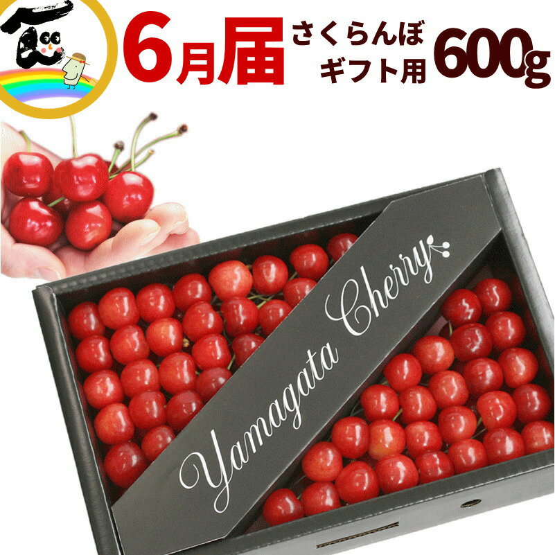 さくらんぼ ギフト 山形 手並べ さくらんぼ 600g Lサイズ 化粧箱入 品種：佐藤錦又は紅秀峰 秀品、Lサイズ