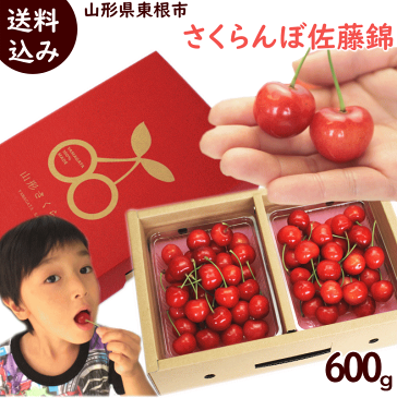 さくらんぼ 佐藤錦 送料無料 山形県 東根市 佐藤錦 600g (300g×2P) 秀品 L・2Lサイズ バラ詰