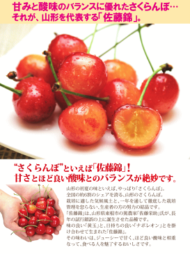 さくらんぼ 佐藤錦 送料無料 山形県 東根市 佐藤錦 600g (300g×2P) 秀品 L・2Lサイズ バラ詰