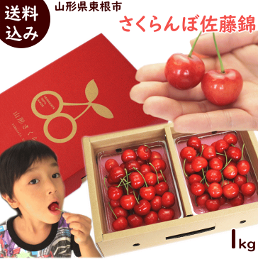さくらんぼ 佐藤錦 送料無料 山形県 東根市 佐藤錦 1kg (500g×2P) 秀品 L・2Lサイズ バラ詰