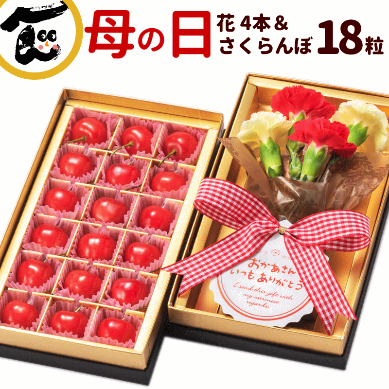 母の日 プレゼント さくらんぼ 佐藤錦 18粒 2色カーネーション セット 山形県産 ギフト 早割 さくらんぼ 大粒 カーネーション 赤 黄色 花 母の日 ギフト 花束のサムネイル