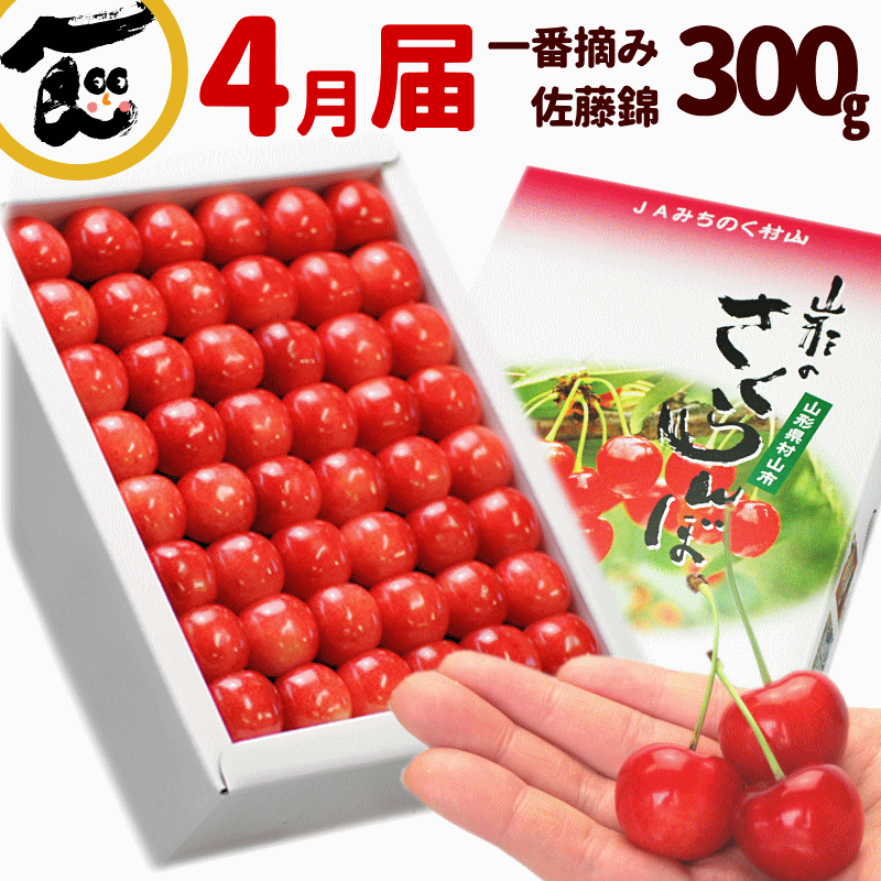 さくらんぼ 佐藤錦 送料無料 4月のさくらんぼ 山形産 一番摘み 佐藤錦 300g 手詰 化粧箱入 高級ハウス品