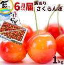 さくらんぼ 訳あり 1kg 山形県産 さくらんぼ 品種 佐藤錦 紅秀峰 訳あり 無選別 自宅用 山形県 チェリー 早割り 1