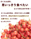 さくらんぼ 訳あり 1kg 山形県産 さくらんぼ 品種 佐藤錦 紅秀峰 訳あり 無選別 自宅用 山形県 チェリー 早割り 2