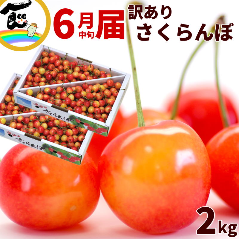 1kg あたり 3,800円 さくらんぼ 訳あり 2kg 山形県産 さくらんぼ 品種 佐藤錦 紅秀峰 無選別 自宅用 チェリー まとめ買い 1箱×2箱