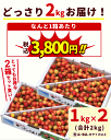 1kg あたり 3,800円 さくらんぼ 訳あり 2kg 山形県産 さくらんぼ 品種 佐藤錦 紅秀峰 無選別 自宅用 チェリー まとめ買い 1箱×2箱 2