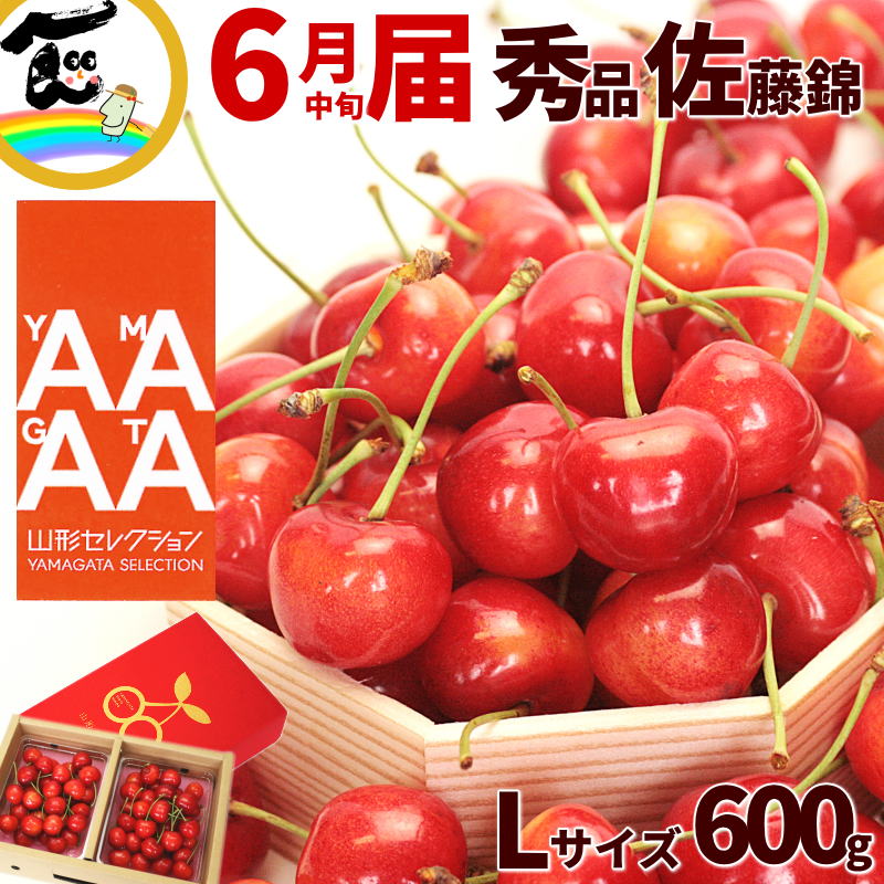 さくらんぼ さくらんぼ 佐藤錦 送料無料 山形産 さくらんぼ 山形セレクション 600g 秀品 さくらんぼ ギフト さくらんぼ 糖度 甘い 20度 大粒 Lサイズ 生産者直送 新鮮 クール便 サクランボ 鈴木農園