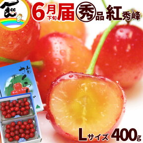 さくらんぼ 送料無料 山形県 JAさがえ西村山 さくらんぼ 紅秀峰 丸秀 Lサイズ以上 200g×2パック 計400g バラ詰