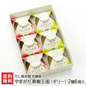 やまがた果樹王国（ゼリー）2種6個入り（さくらんぼ、ラ・フランス 各3個） 乃し梅本舗 佐藤屋 山形県産 生産者直送 送料無料【代金引換決済不可】【山形直送計画 のし対応 スイーツ 洋菓子 冷菓 フルーツ チェリー 洋なし 洋梨 デザート おやつ 手土産】