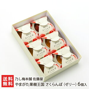 やまがた果樹王国 さくらんぼ（ゼリー）6個入り 乃し梅本舗 佐藤屋 山形県産 生産者直送 送料無料【代金引換決済不可】【山形直送計画 のし対応 スイーツ 洋菓子 冷菓 フルーツ チェリー サクランボ デザート おやつ 手土産】