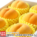 贈答用 山形県産 黄桃 特秀品 2kg 5~9玉 アンスリーファーム 樹上完熟 中玉 おうとう もも モモ フルーツ 旬の品種をお届け 寒河江市 山形産 生産者直送 お取り寄せ ギフト プレゼント 贈り物 送料無料