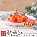 さくらんぼ蜜煮のゼリー包み「プチジェリチェリー」 選べる 1箱 〜 3箱 アンスリーファーム フルーツ さくらんぼ サクランボ チェリー ゼリー 密煮 まるごと...