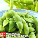 山形県産 枝豆 黒五葉 3kg ( 1kg × 3袋 ) 十四代 中川吉右衛門 自然栽培 無農薬 無化学肥料 えだまめ エダマメ くろごよう 黒豆 まめ 生豆 ...