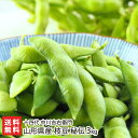 山形県産 枝豆 秘伝 3kg (1kg×3袋) 十四代 中川吉右衛門 山形直送計画 えだまめ エダマメ ひでん えだまめ エダマメ おつまみ おやつ 自然栽培 ...