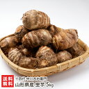 山形県産 里芋 5kg 十四代 中川吉右衛門 里いも さといも サトイモ 自然栽培 無農薬 無肥料 国産 煮物 芋煮 ふかし芋 高畠町 山形産 生産者直送 お取り寄せ ギフト プレゼント 贈り物 送料無料